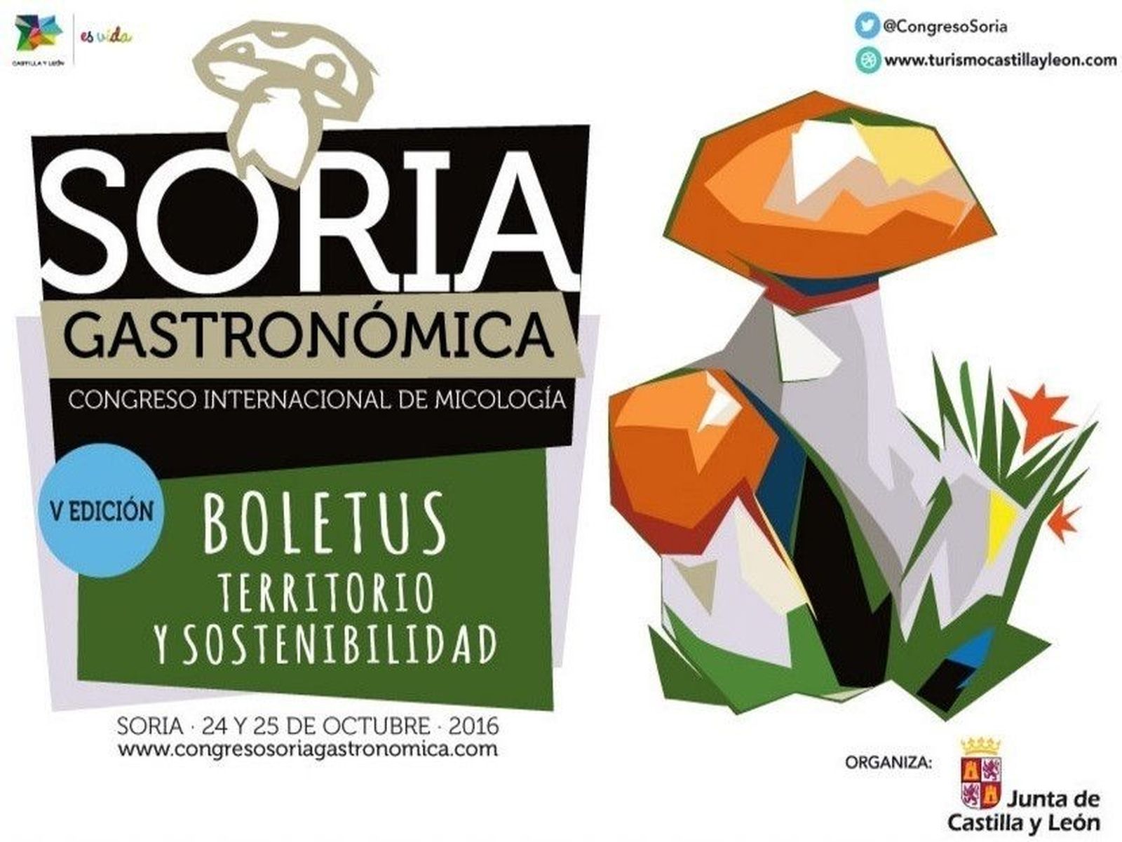 Castilla y León se posiciona como referente internacional en turismo micológico