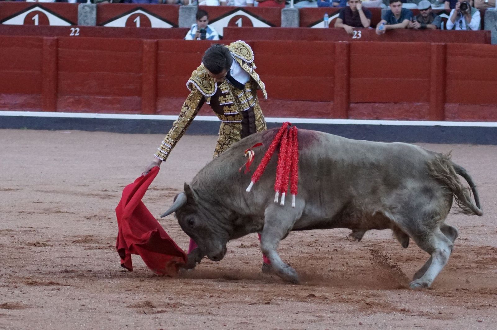 Clase práctica con alumnos de la Escuela de Tauromaquia de Salamanca (Diego Mateos, Noel García y Álvaro Rojo con erales de Esteban Isidro)