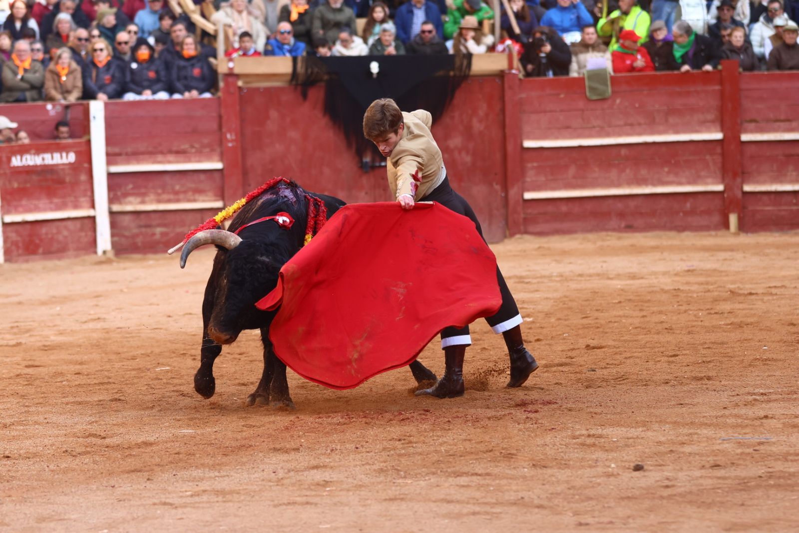 Festival del martes en el Carnaval del Toro 2026