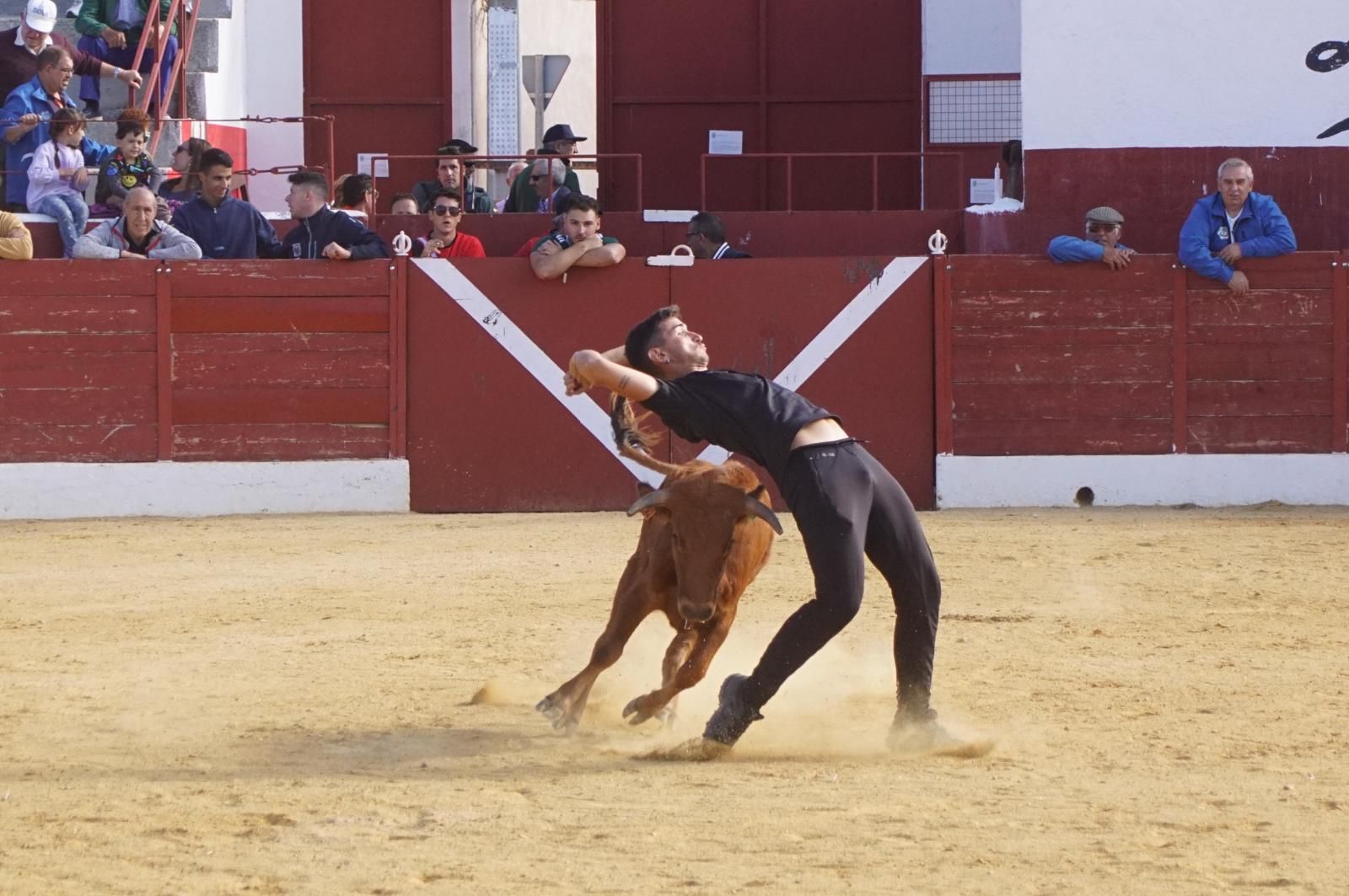 whatsapp-image-2024-09-08-at-14-05-22-1