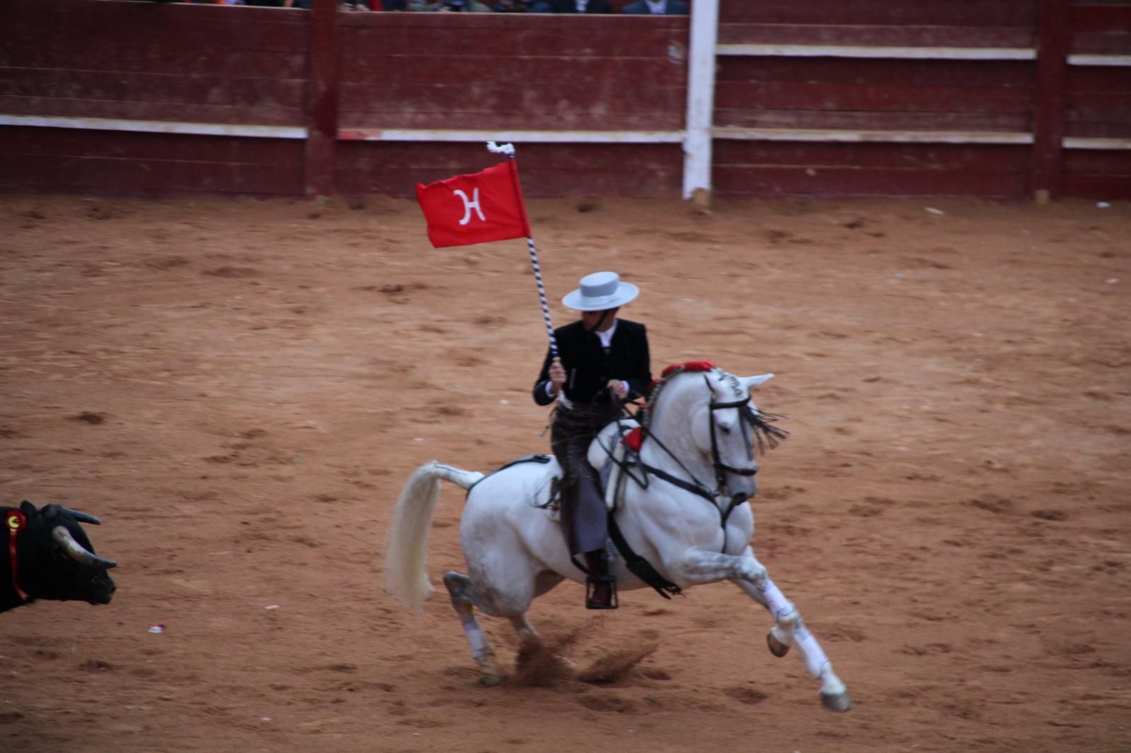 whatsapp-image-2025-03-02-at-18-55-51