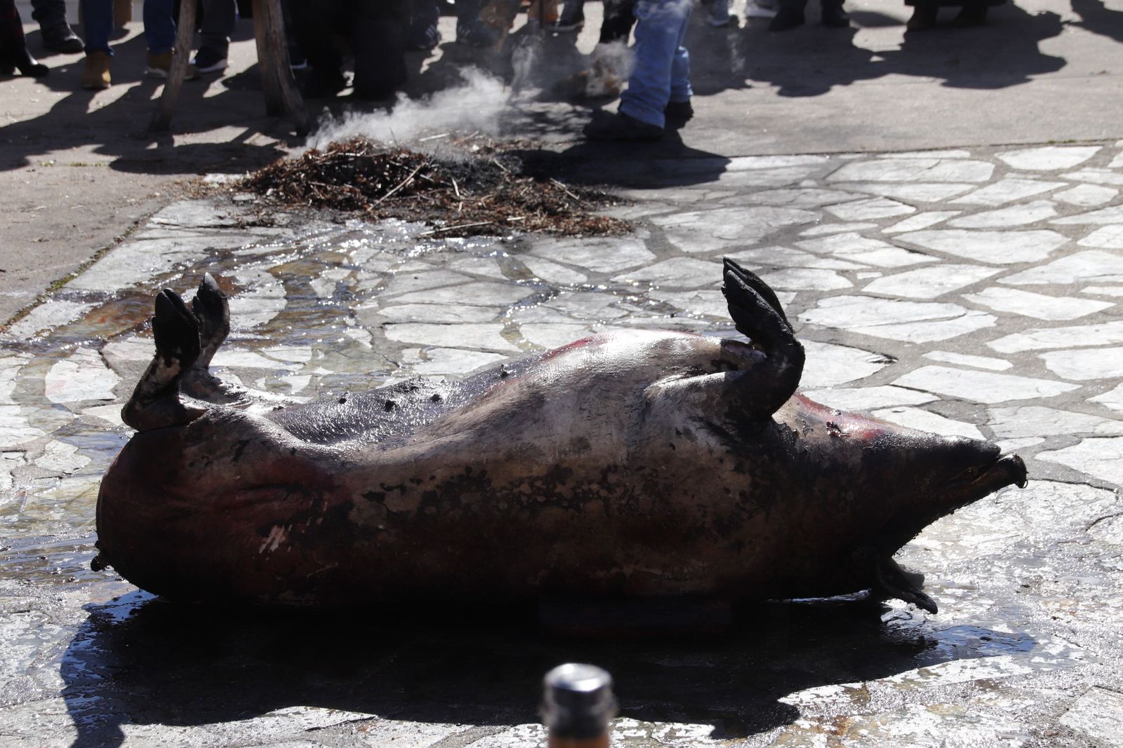 20220219143009-mg-8163