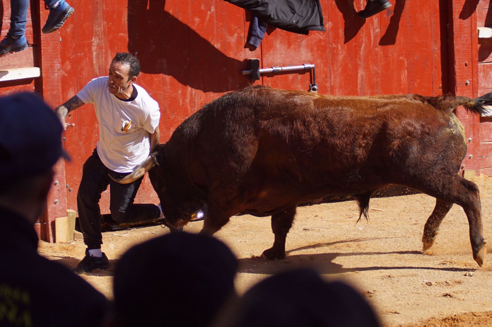 encierro-capea-y-ambiente-en-ciudad-rodrigo-en-este-lunes-de-carnaval-19