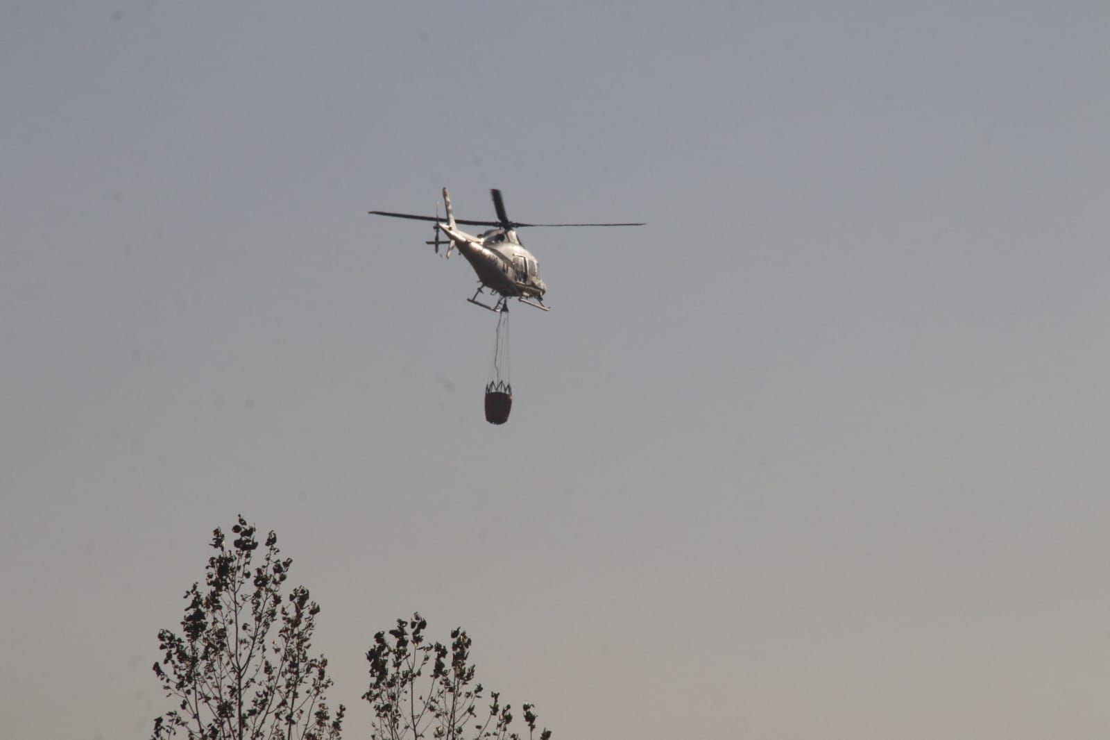 incendio-trasera-del-regio-11