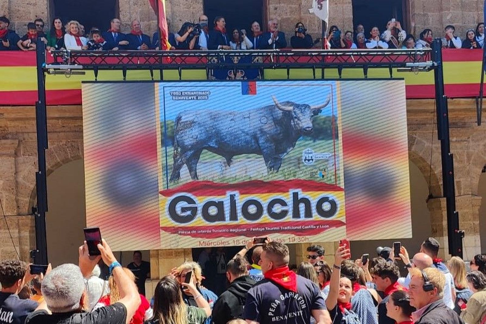 Petición del Toro Enmaromado 2025 Benavente. 'Galocho' recorrerá las calles el próximo junio. FOTO: L.A.