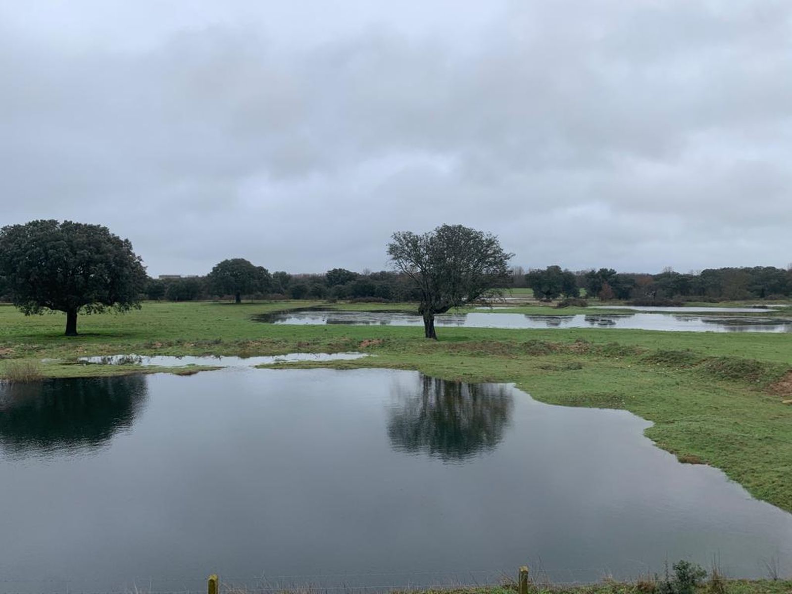 imagen-de-whatsapp-2022-12-13-a-las-19-45-19