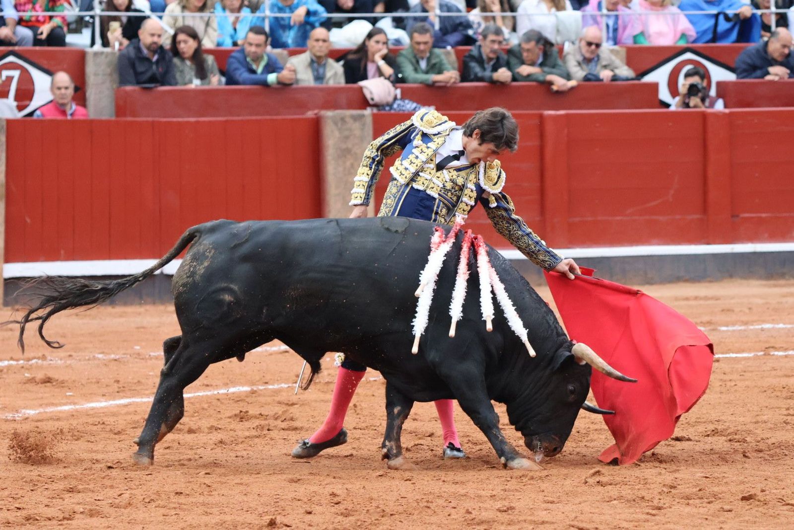 20230916182345-img-5530