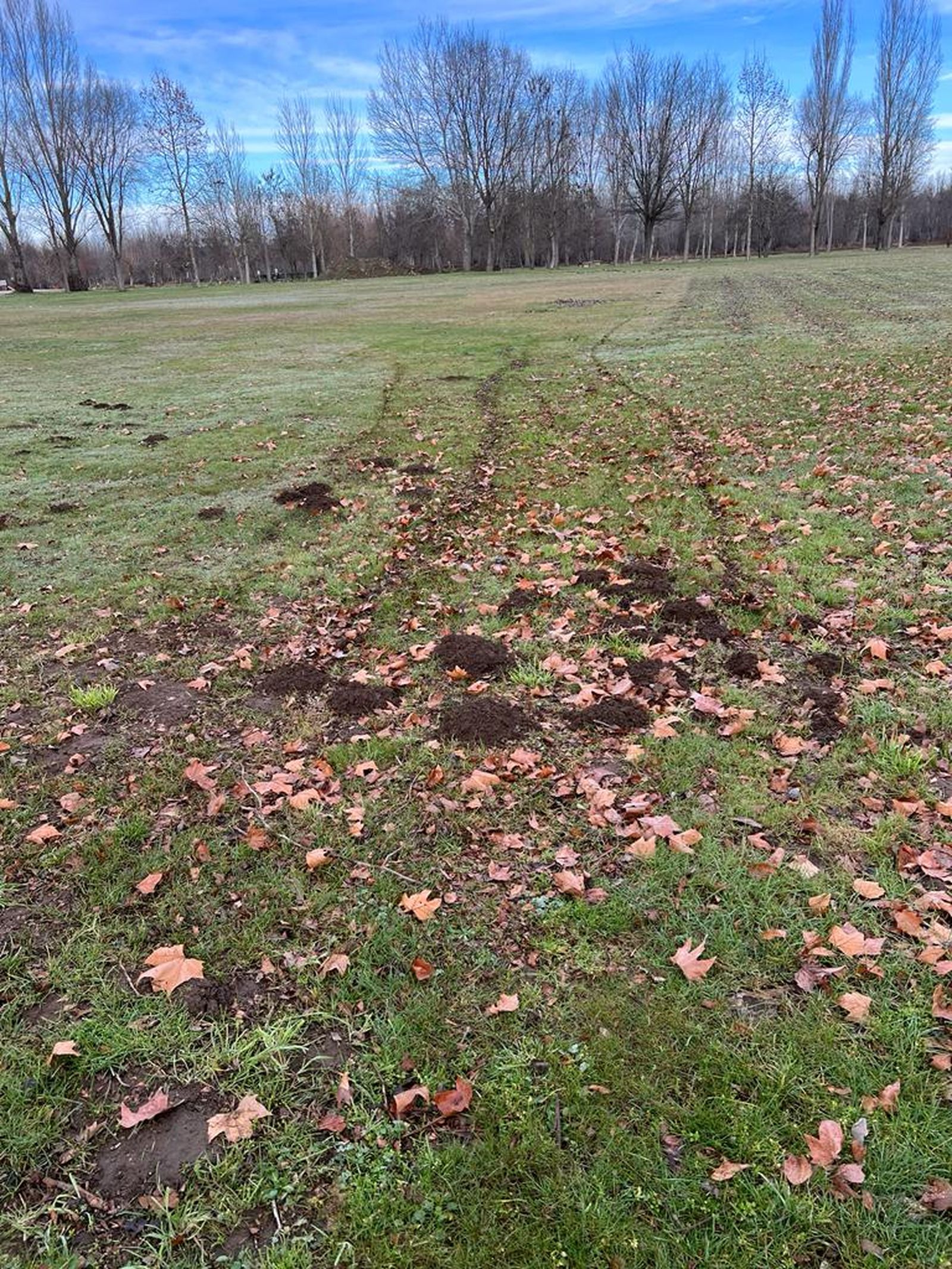 whatsapp-image-2024-01-04-at-13-16-43-2