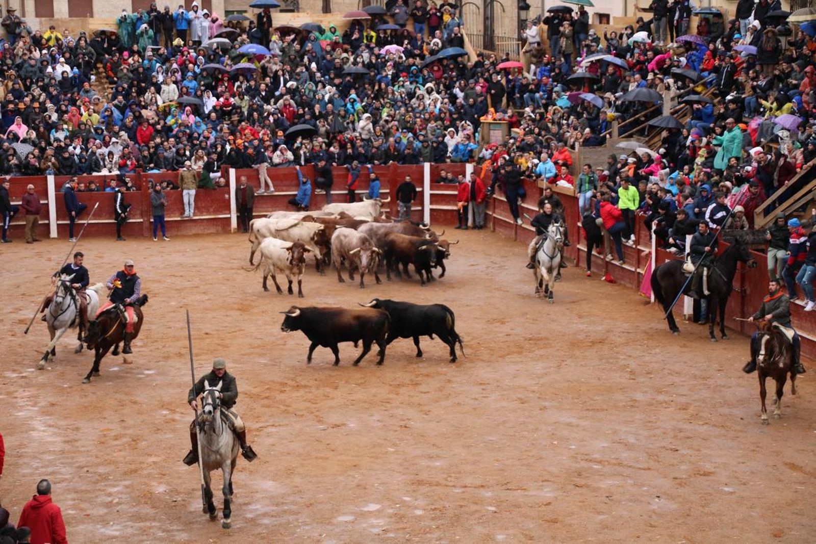 whatsapp-image-2024-02-11-at-11-41-25-9