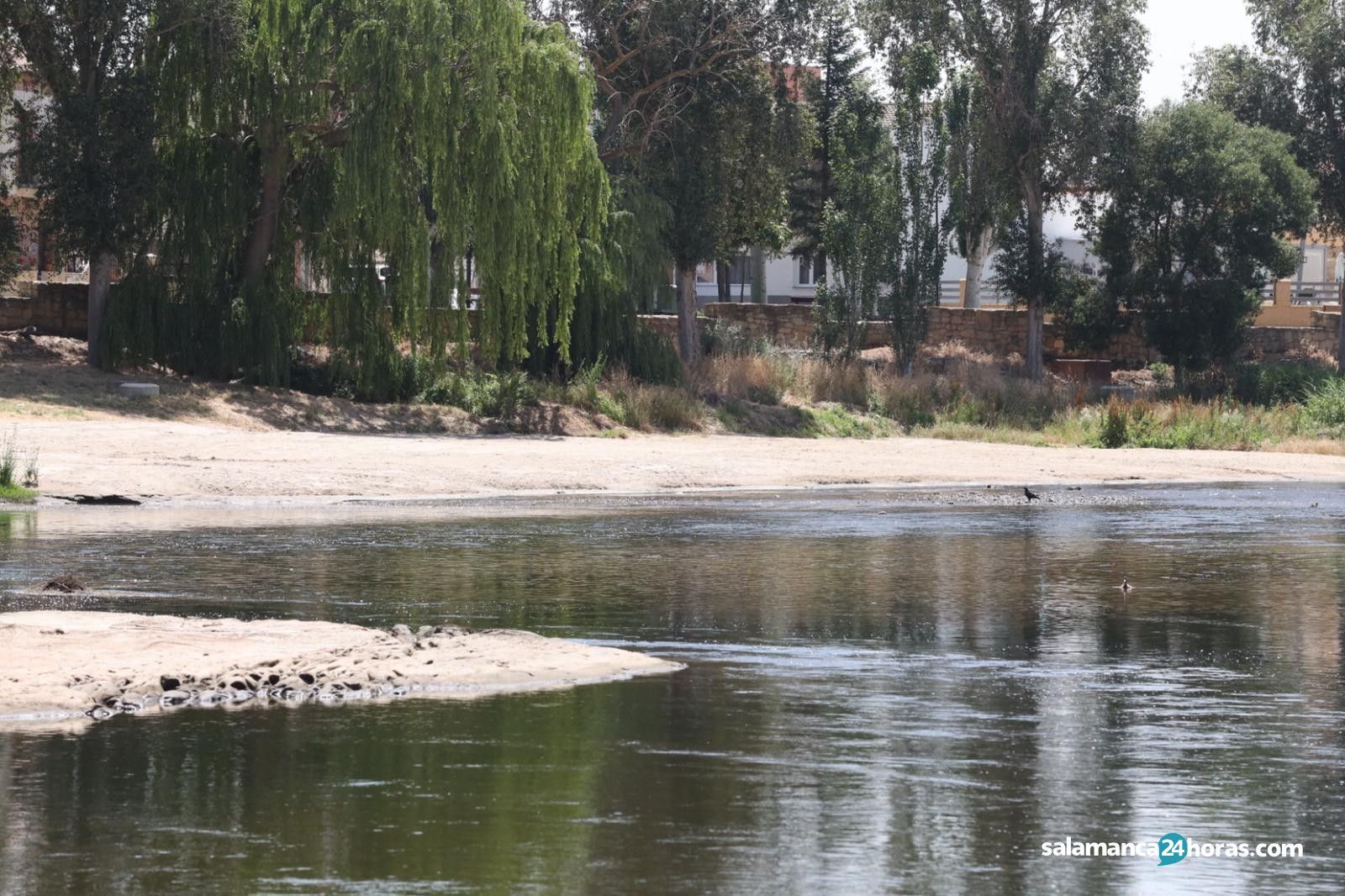 WhatsApp Image 2019 06 27 at 12.58.37