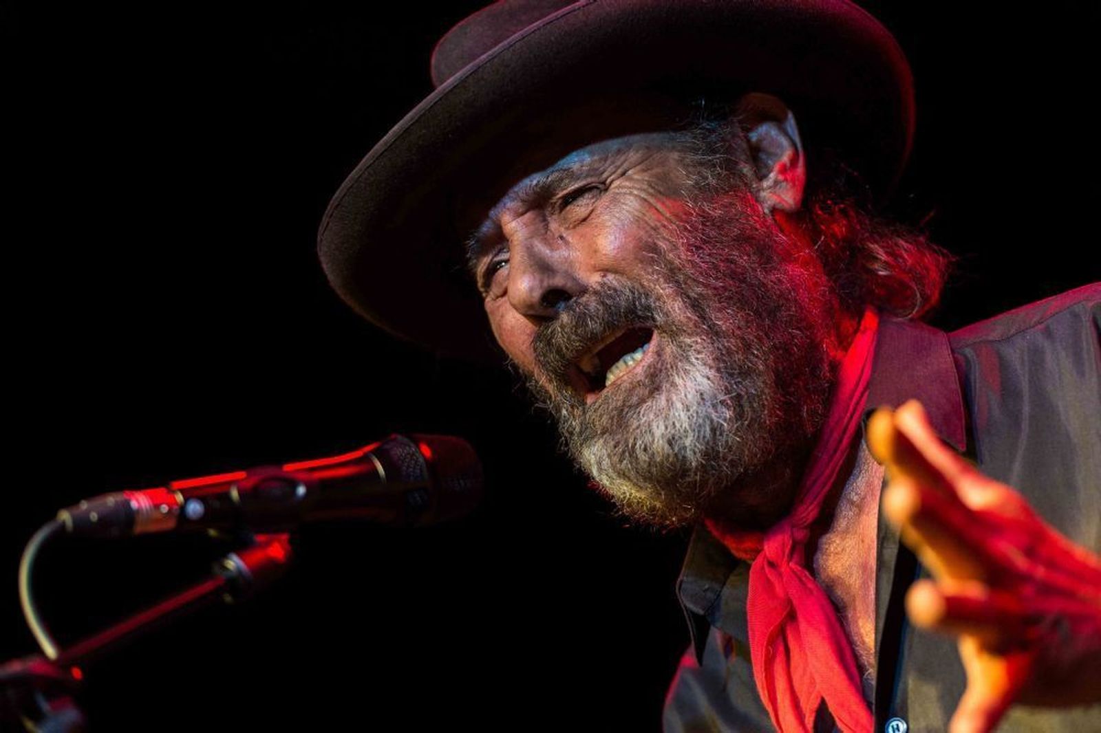 33161242019115039amnp