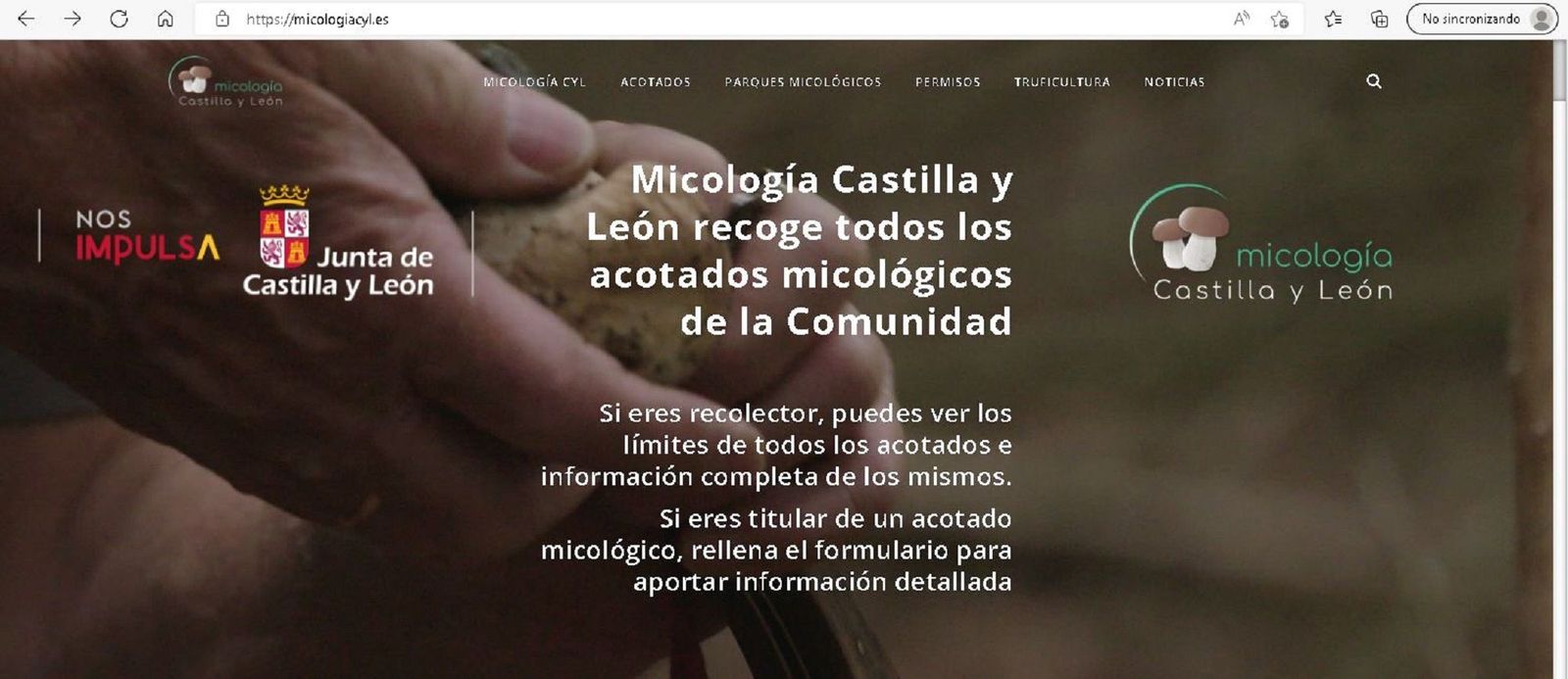 20221116 Portal+de+Micologia+CyL 1