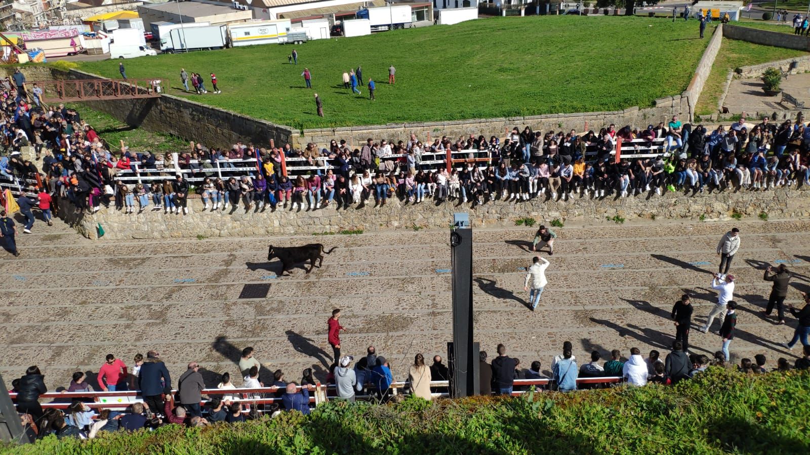 ambiente-con-la-suelta-de-vaquillas-en-el-domingo-de-pinata-en-ciudad-rodrigo-6
