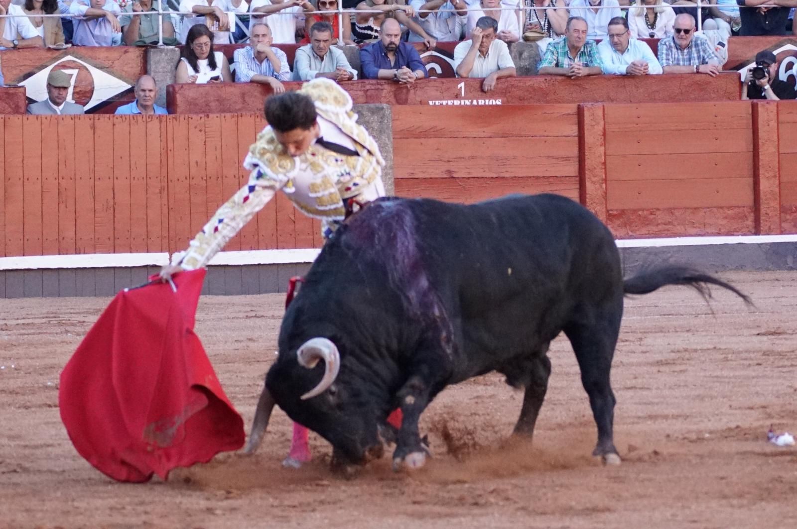 Emilio de Justo, Juan Ortega y Roca Rey inauguran el cartel de figuras en la feria de Salamanca: la corrida de Garcigrande en imágenes
