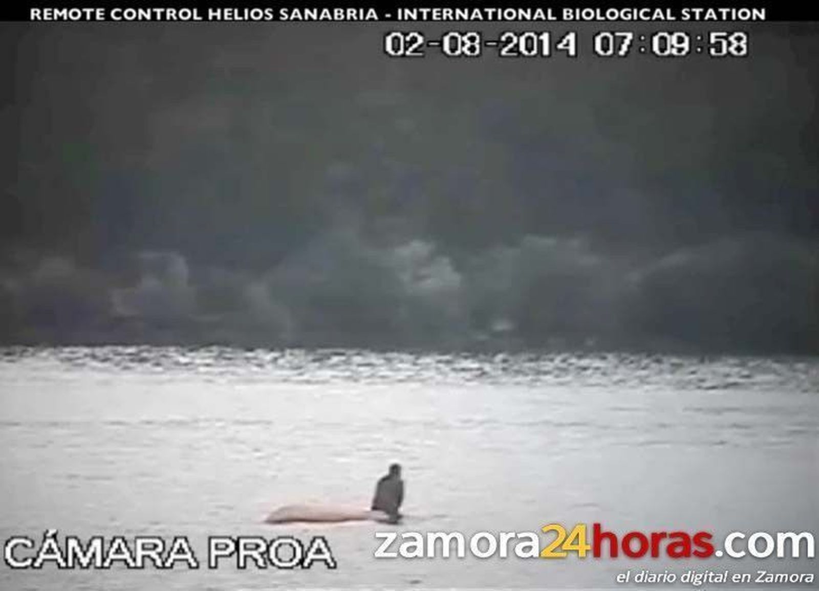 Rescate en el Lago de Sanabria