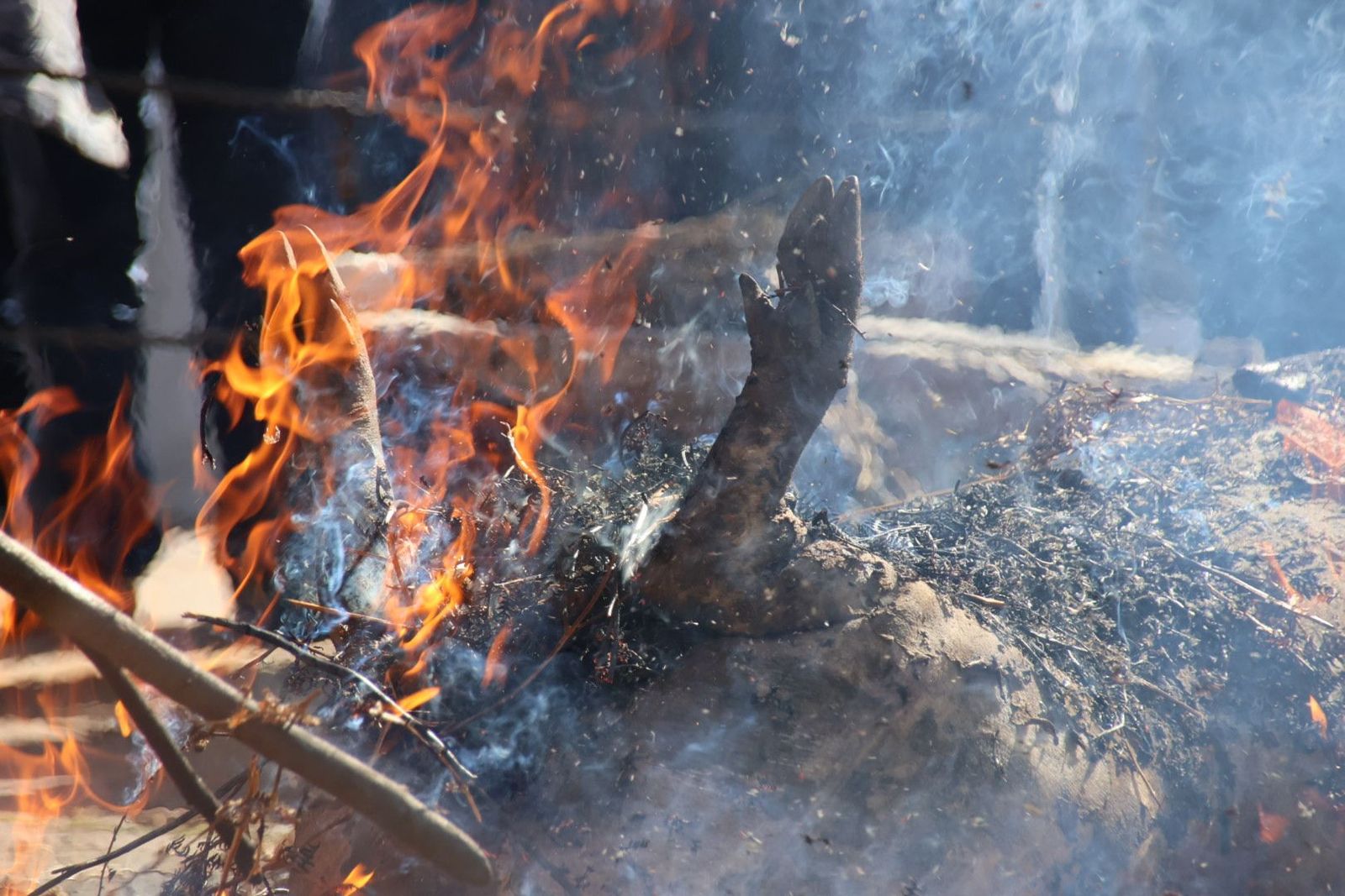 20240217135455-img-6919