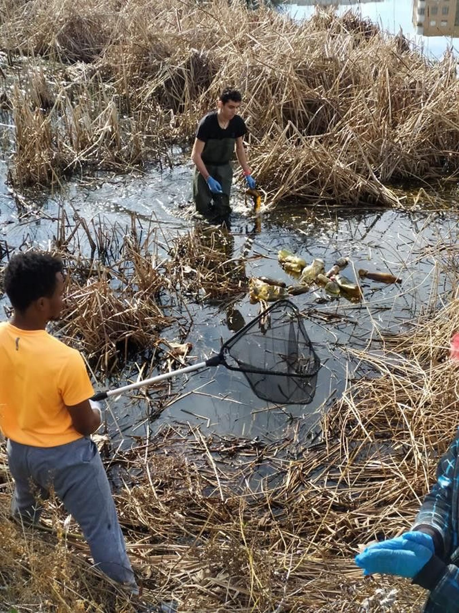 Batida río Tormes (1)
