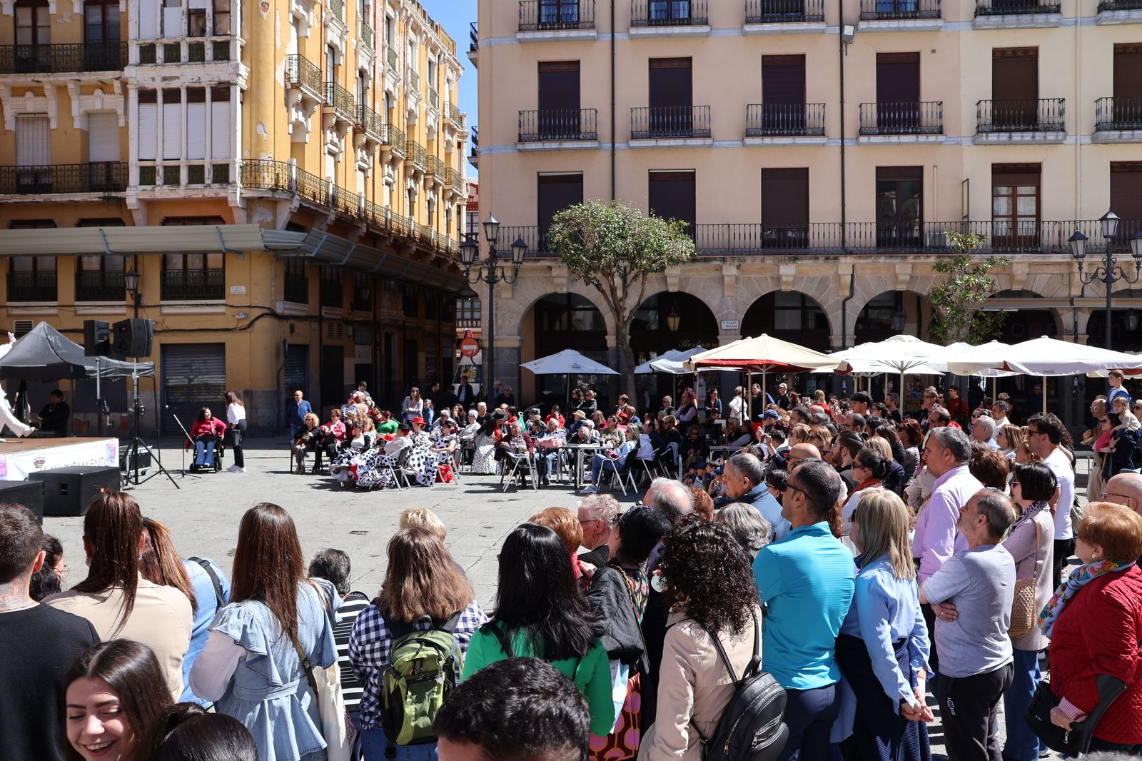 dia-internacional-de-la-danza-2025-en-la-plaza-mayor-13
