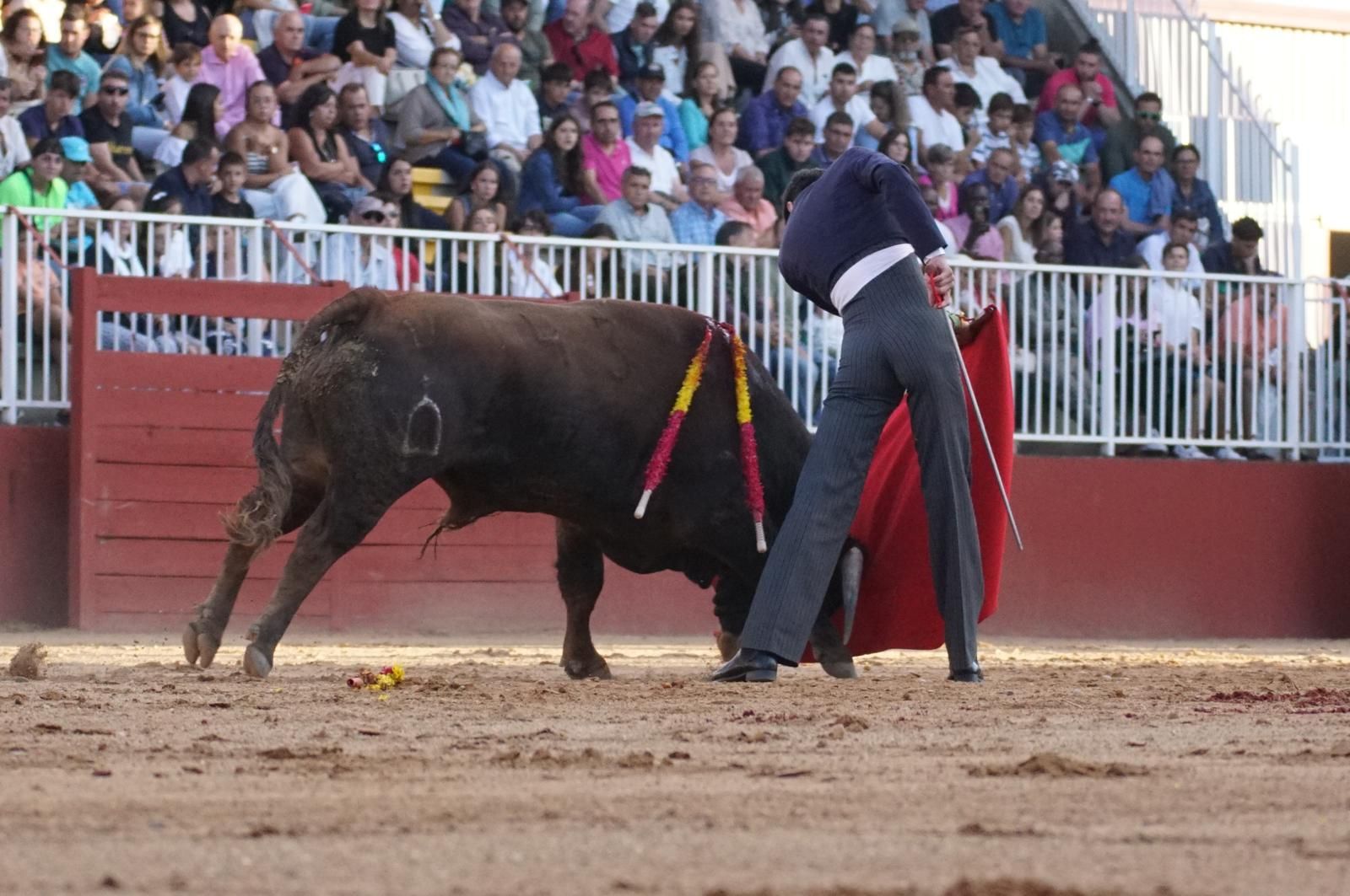 whatsapp-image-2024-09-07-at-20-49-12