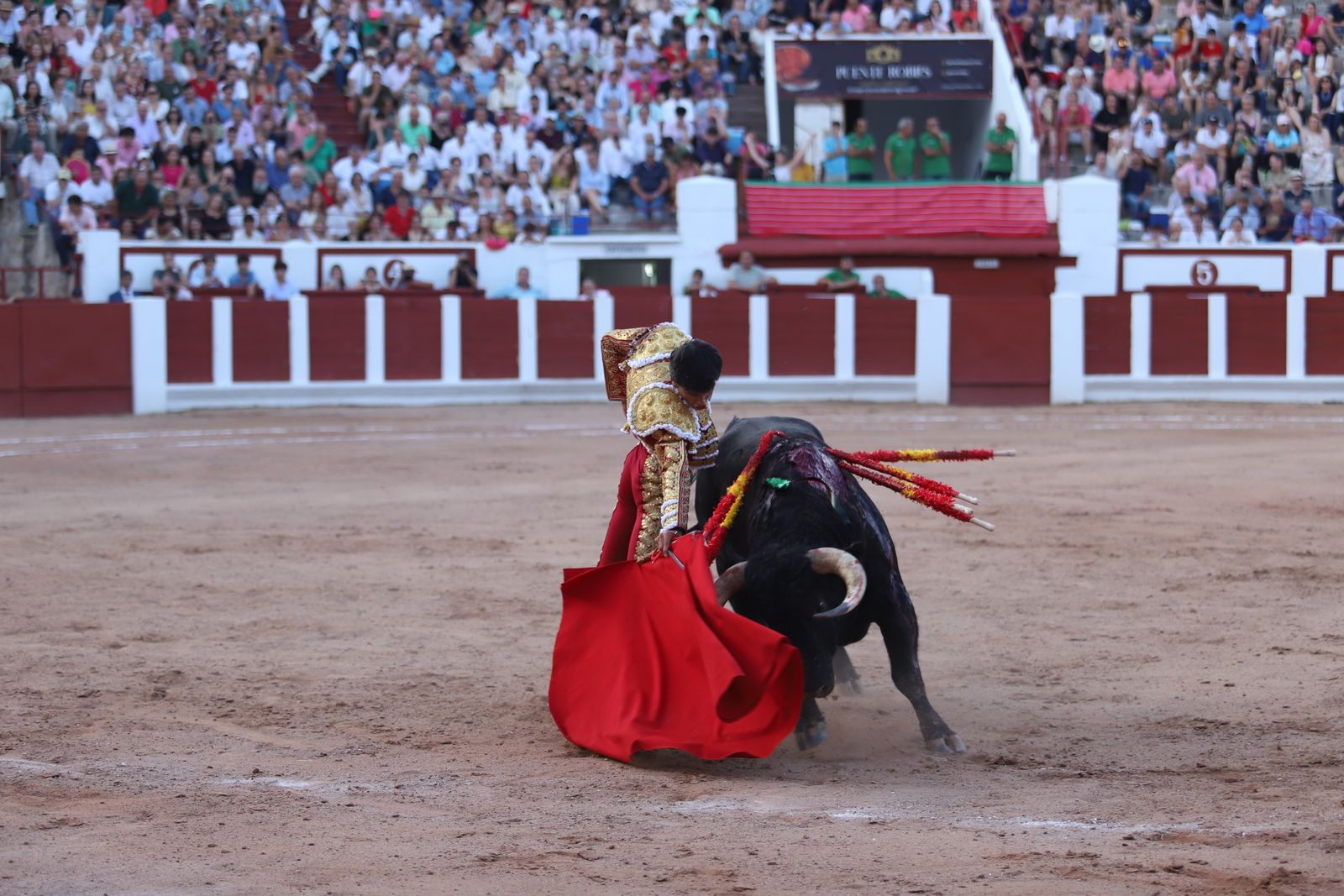 GALERÍA | Borja Jiménez, Manuel Diosleguarde y Emilio de Justo en la Feria Taurina de San Pedro