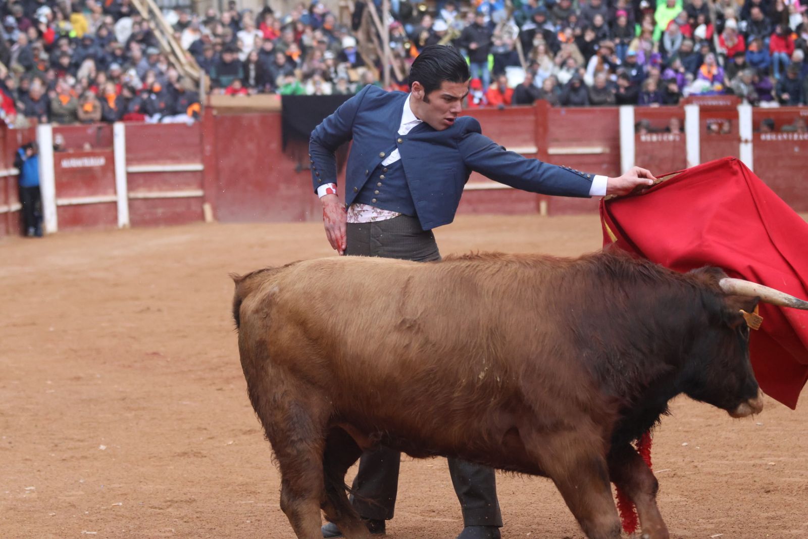 Novillada sin picadores del bolsín taurino y rejones en Ciudad Rodrigo