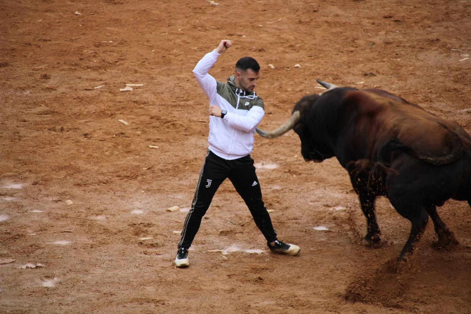 capea-matutina-del-martes-de-carnaval-29