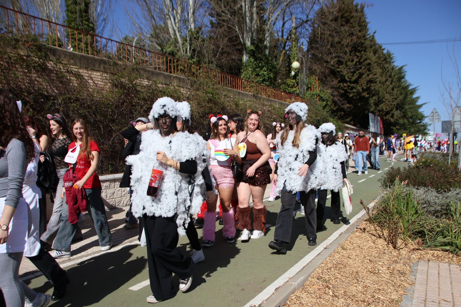 Fiestas facultad de psicología