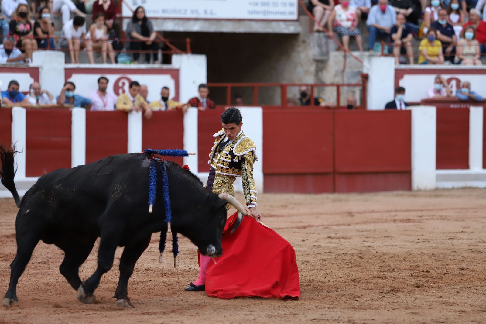 roca-rey-pablo-aguado-y-daniel-luque-en-zamora-20