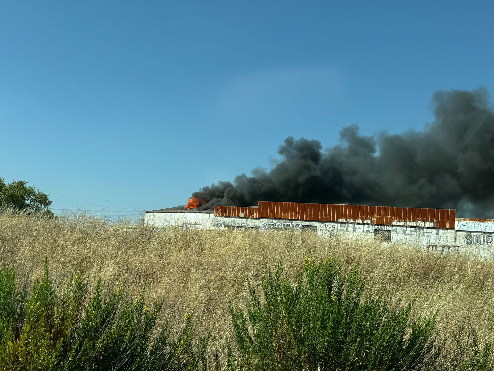 whatsapp-image-2024-08-22-at-17-44-36