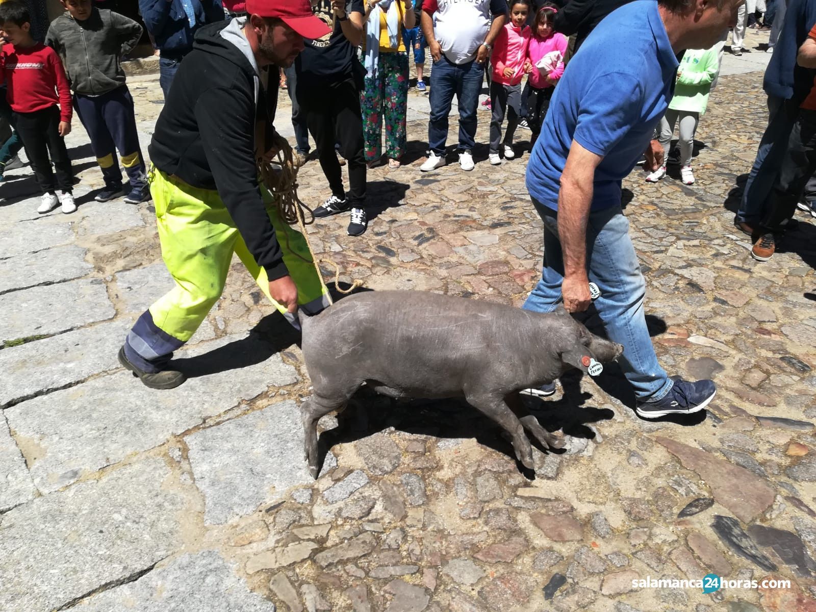 WhatsApp Image 2019 06 13 at 19.47.37 (3)