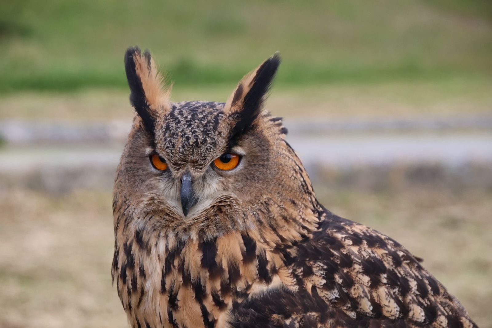 20240501102156-img-2872