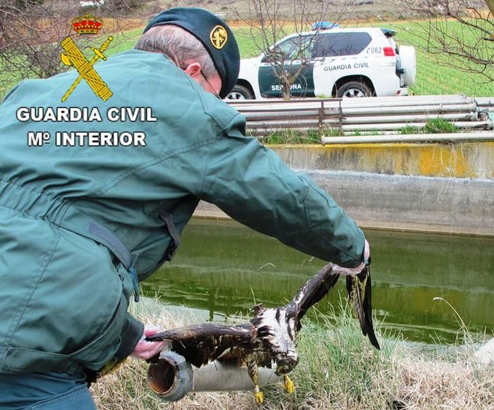 Foto milano recuperado (Copy)