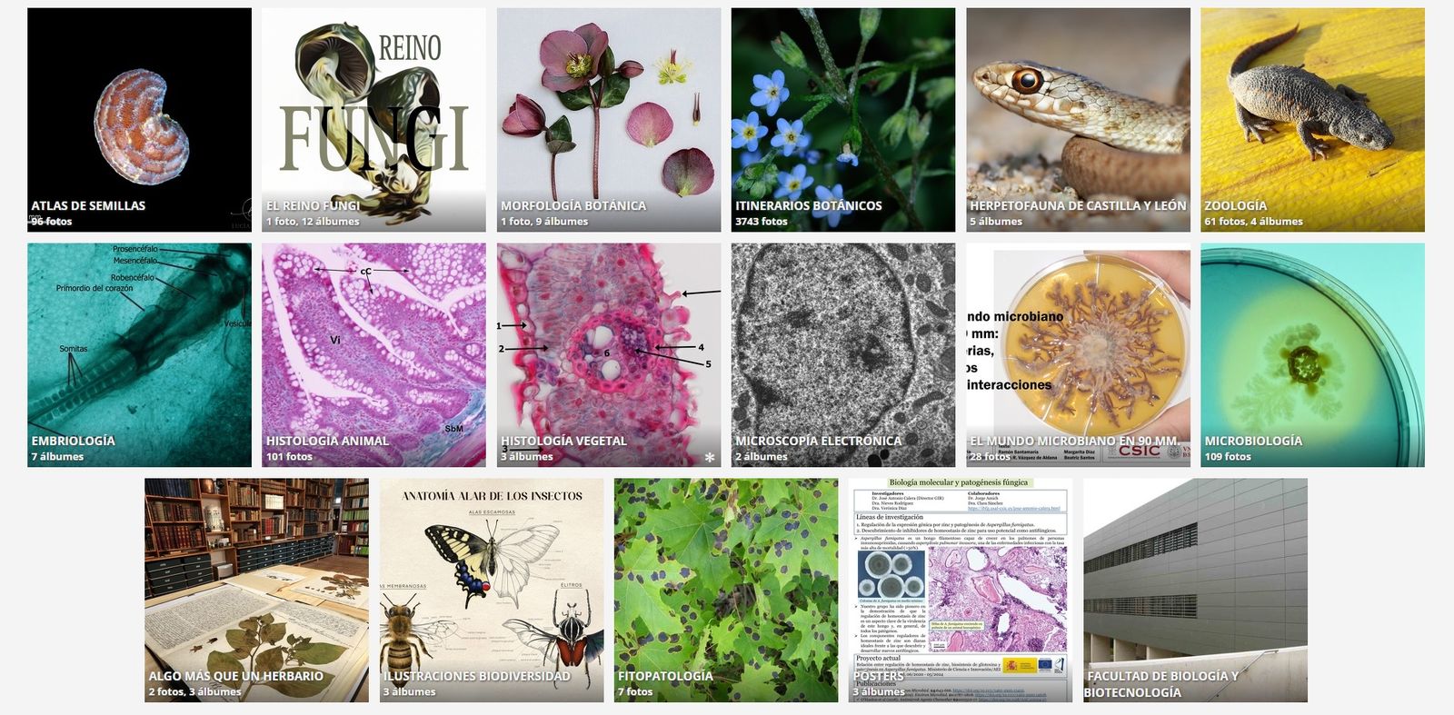 Galería Imaginarium de la Biblioteca de Biología de la USAL