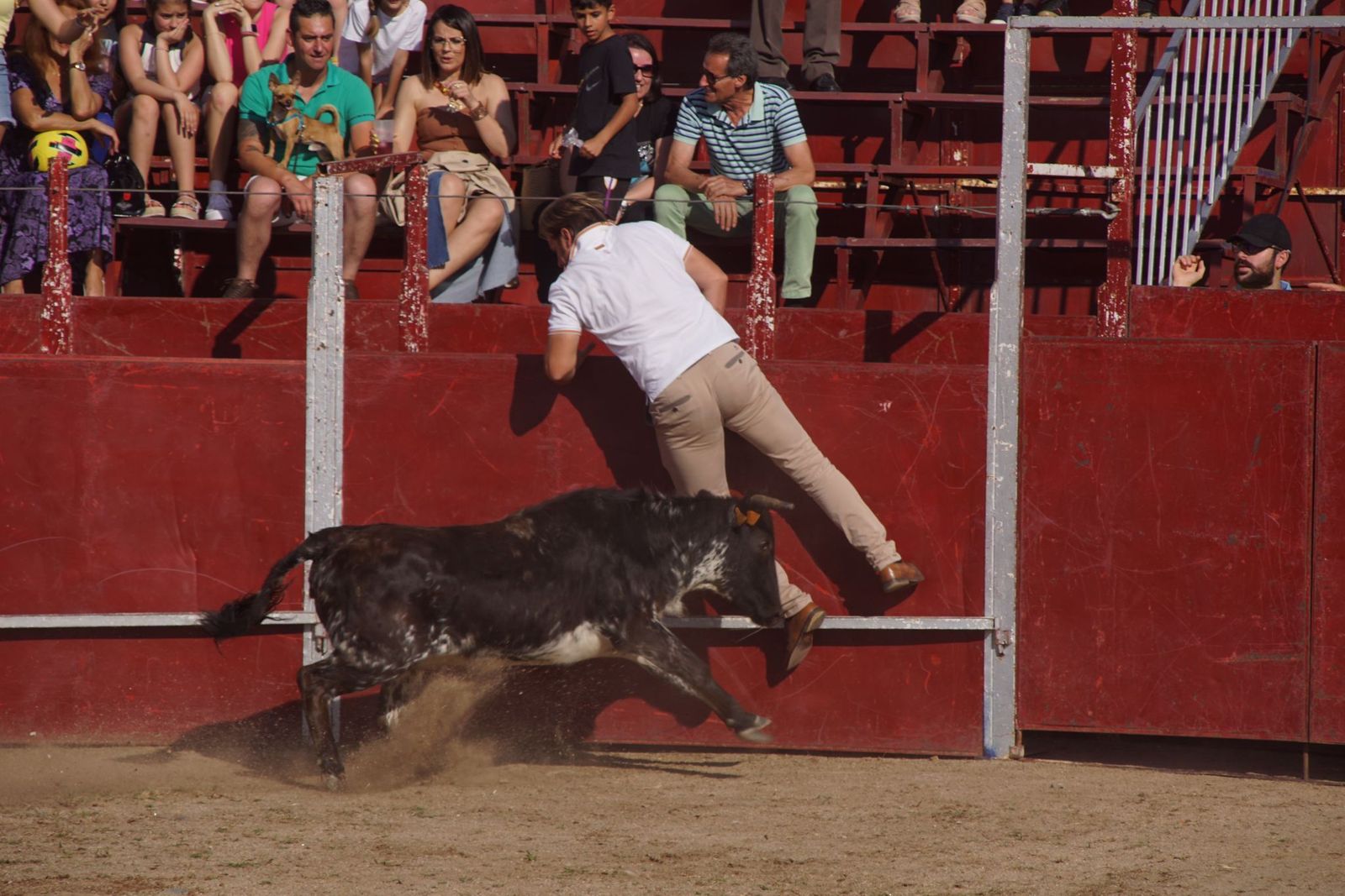 capea-fiestas-de-carrascal-de-barregas-4