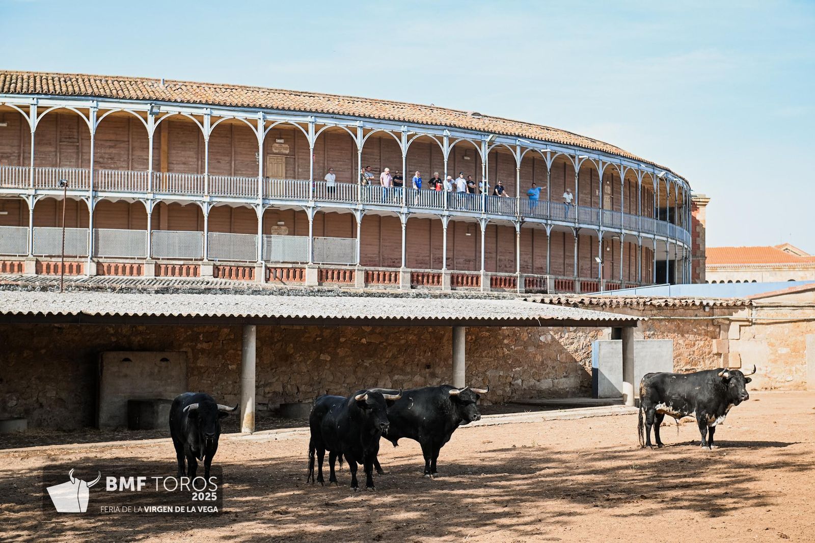 De 'Filósofo' a 'Volador': los toros García y Olga Jiménez para el regreso de Morante a La Glorieta con Ismael Martín y Marco Pérez