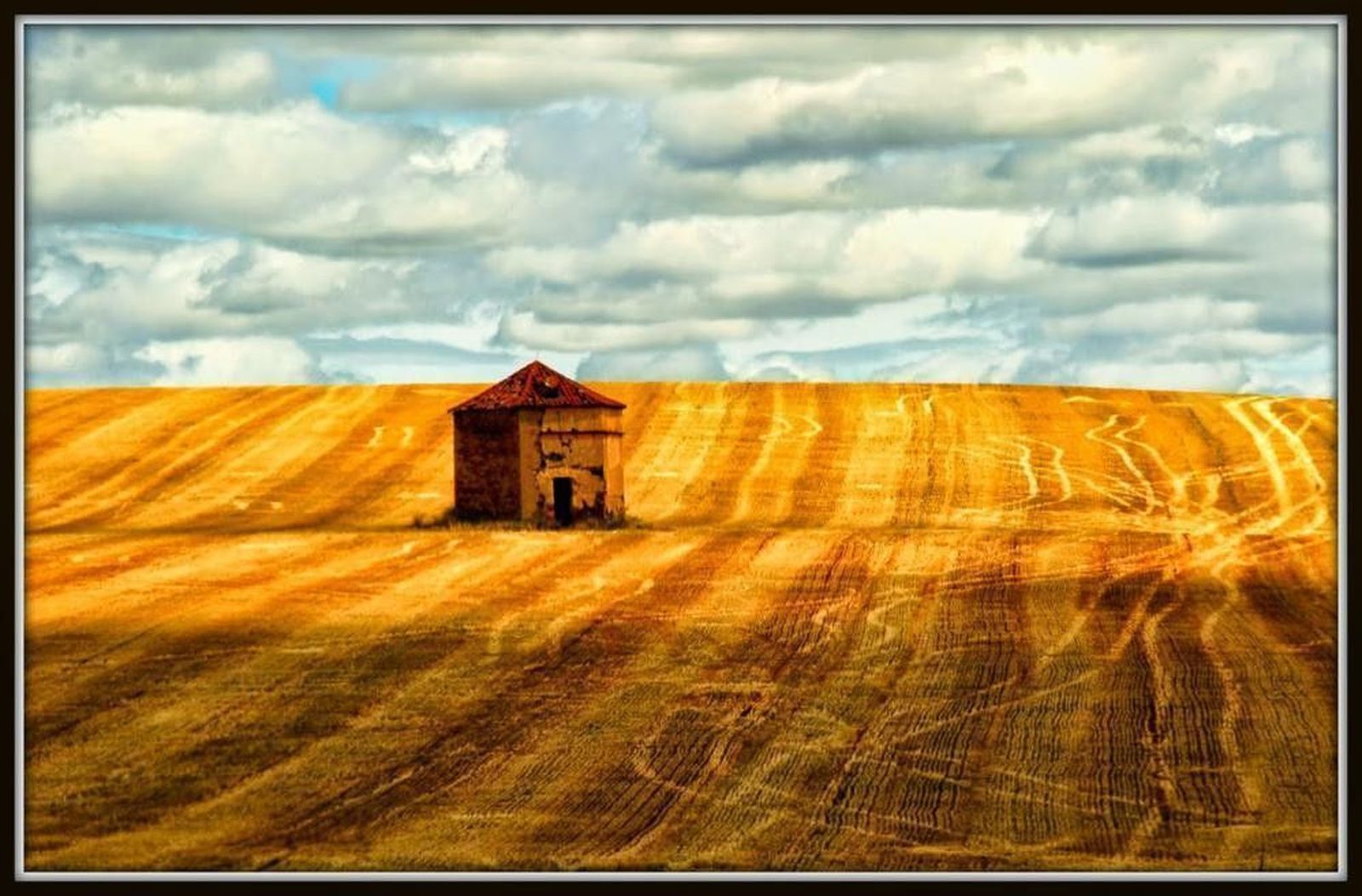 Elogio y reivindicación del palomar autóctono