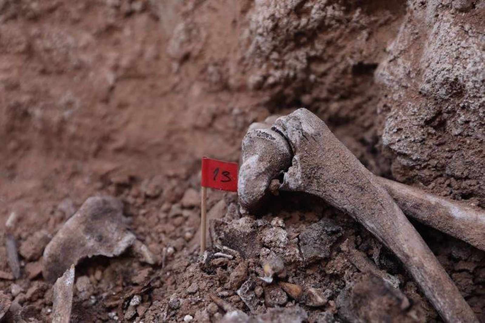 Varios huesos encontrados durante la excavación de una fosa de la guerra civil en el cementerio de Belchite, en Zaragoza. Foto Isabel Infantes | EP