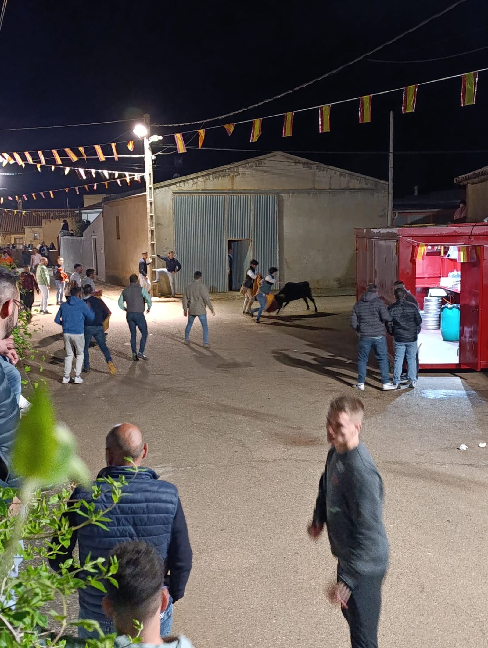 Suelta de vaquillas en Cabrillas (1)
