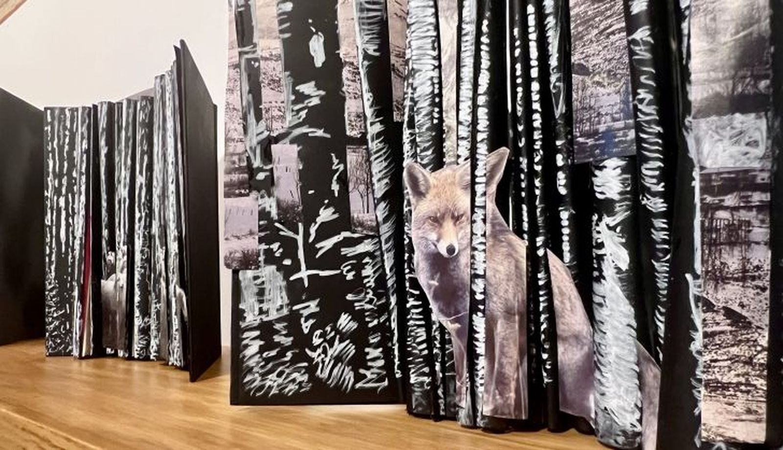 Exposición 'Cuenta kilómetros' en la Casa de las Conchas 