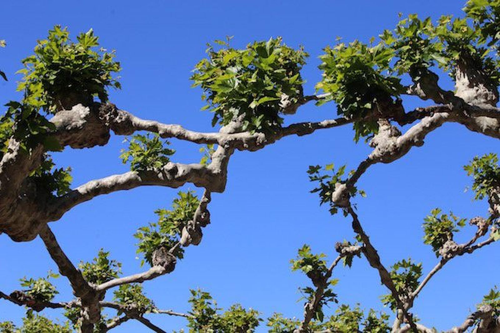 El mes de agosto será anomalamente fresco en en el Cantábrico y cálido en el interior y Mediterráneo