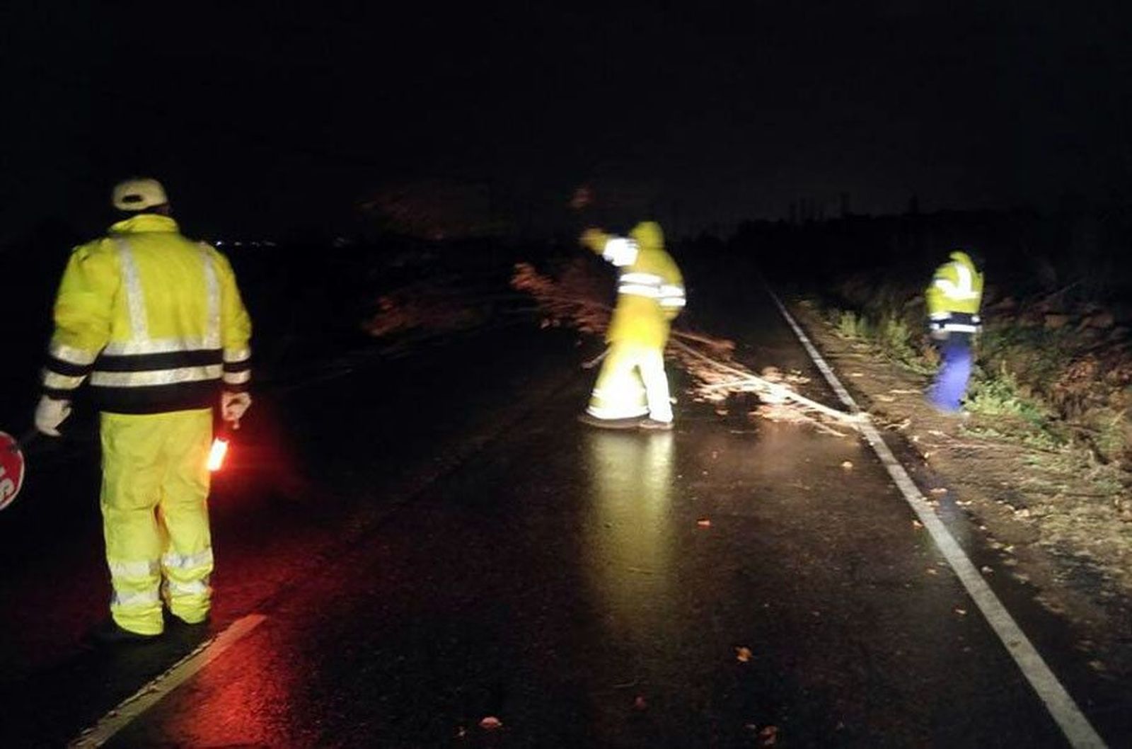Ramas carretera cubillos