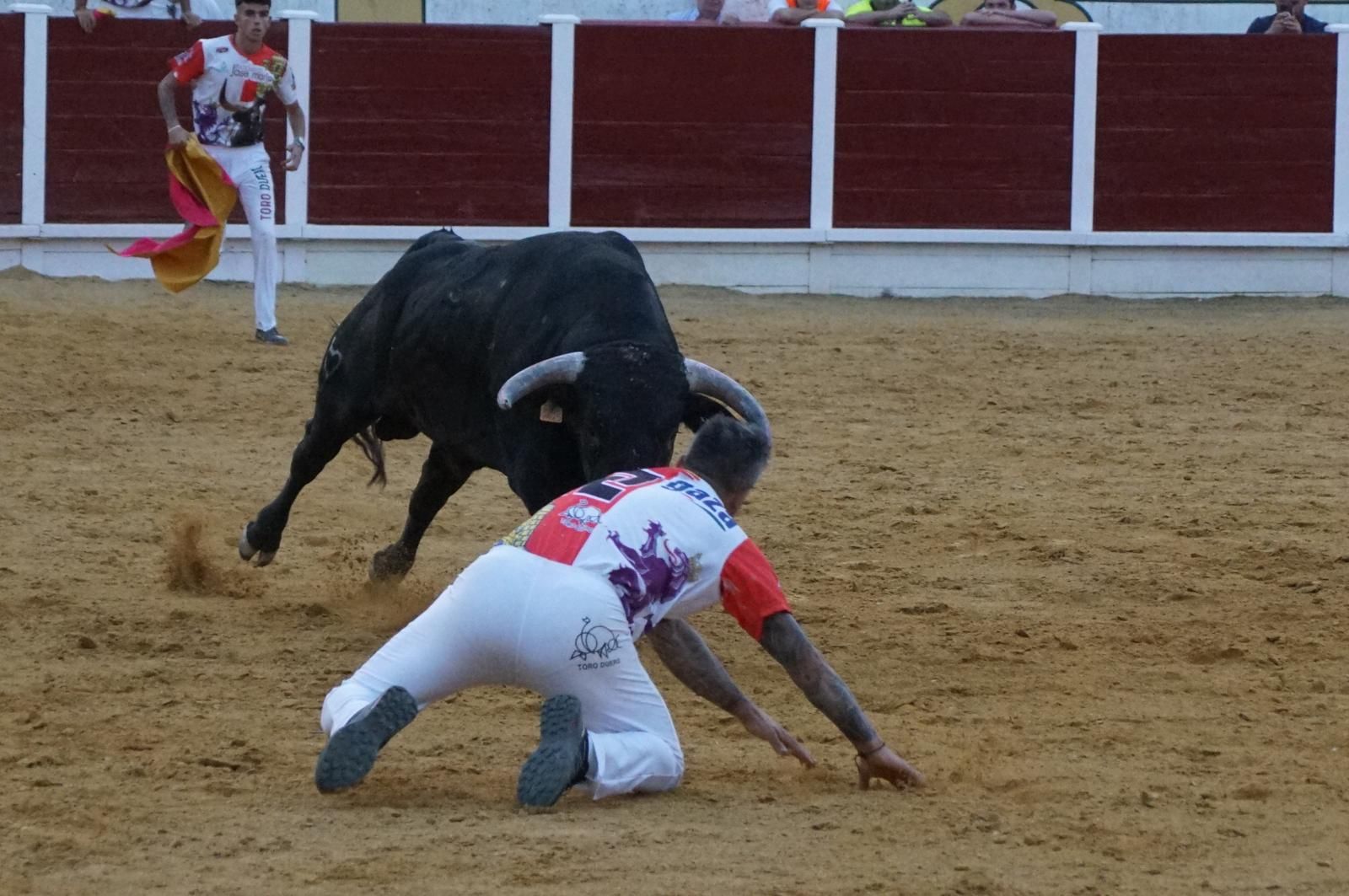 Gran ambiente en los cortes y la suelta de vaquillas de Peñaranda