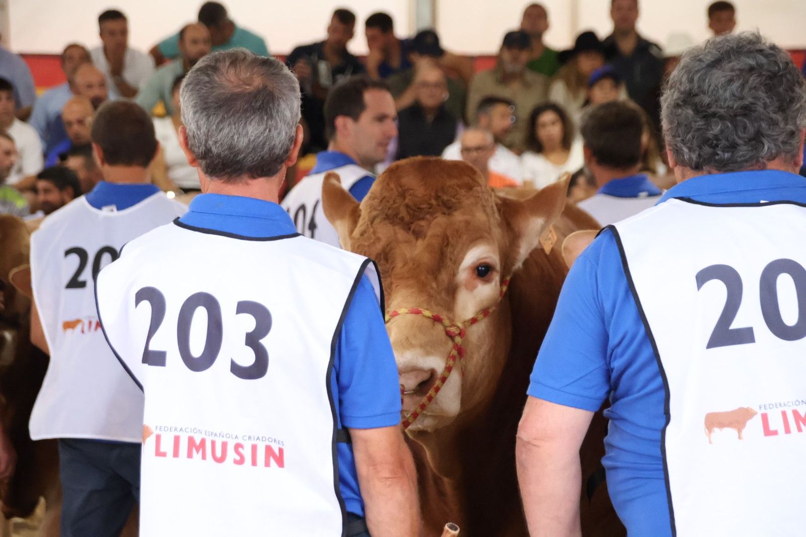 20230902102919-img-6979