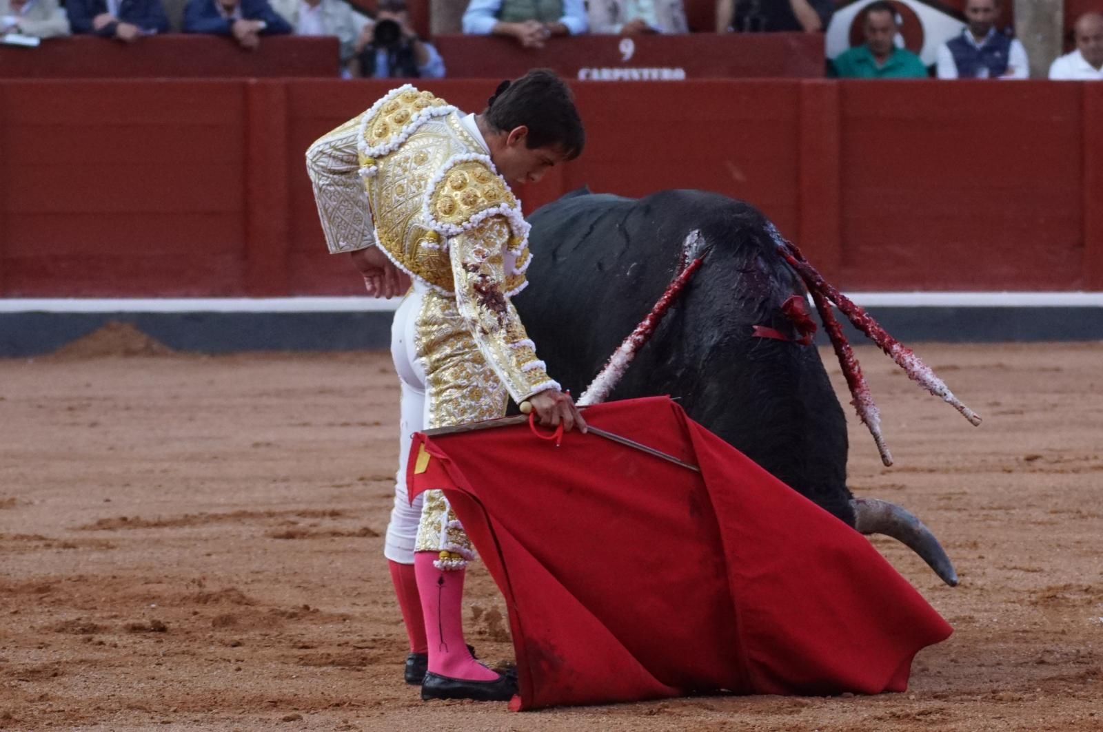 corrida-concurso-momentos-mas-destacados-del-ultimo-festejo-de-abono-de-la-feria-taurina-virgen-de-la-vega-2024-fotos-carlos-h-g-y-juanes-11