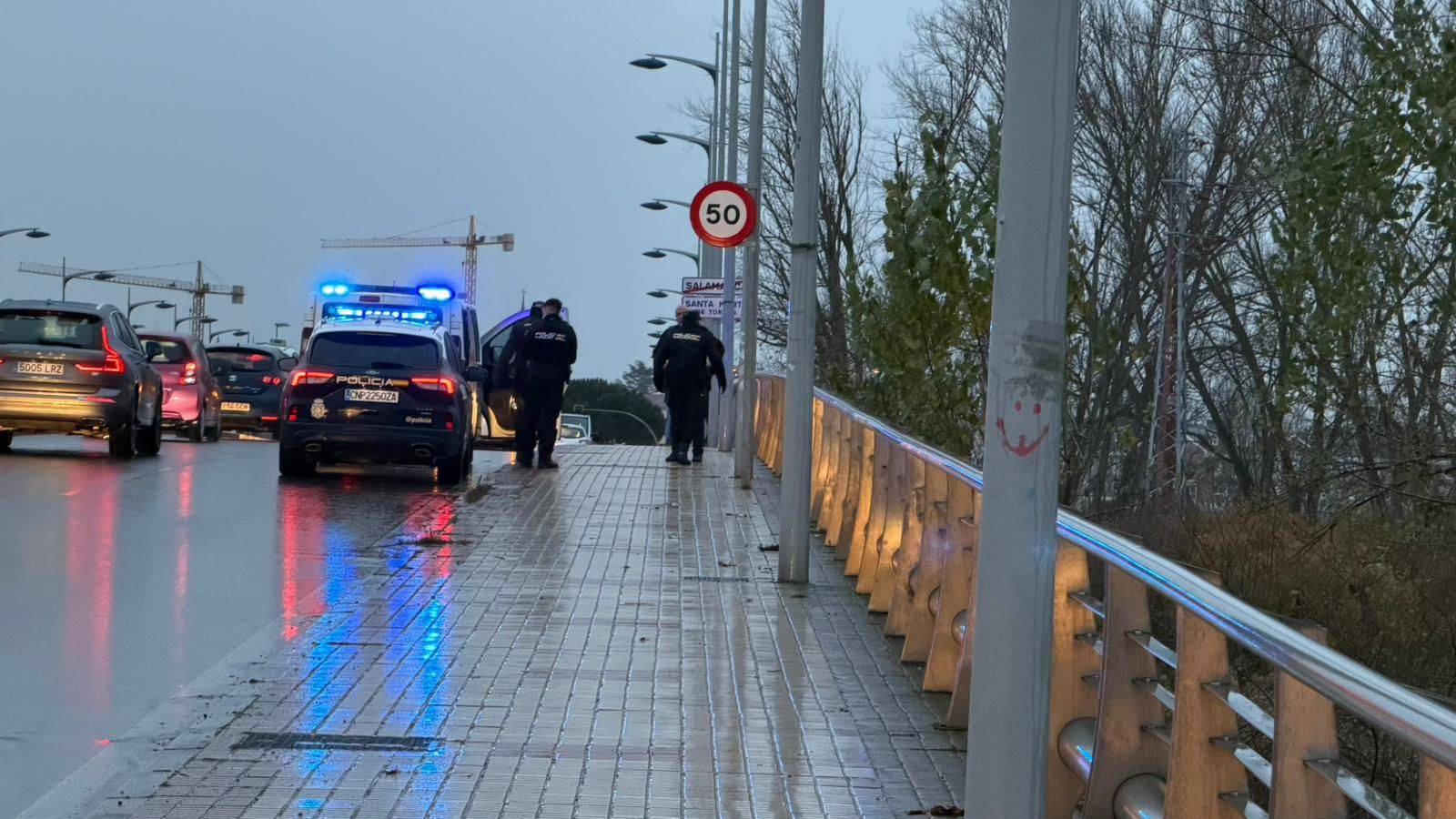 Intervención en el Puente Juan Carlos I