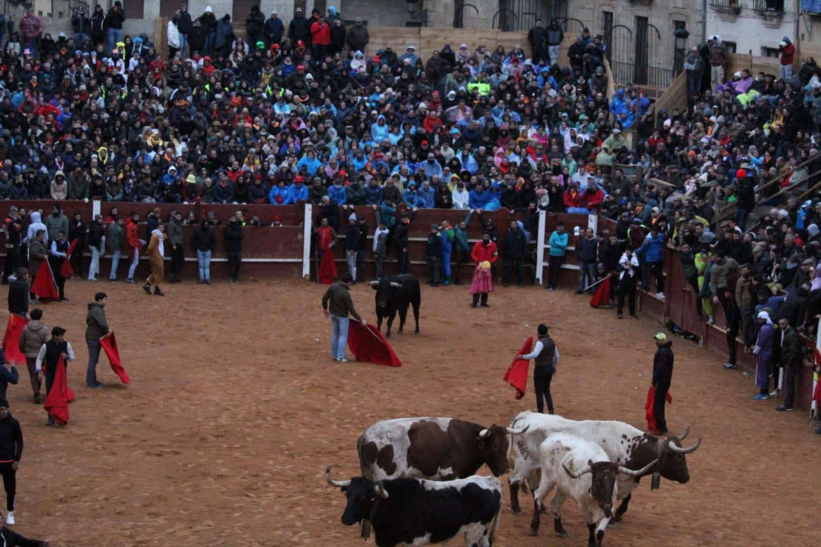ambiente-y-capea-vespertina-sabado-de-carnaval-en-ciudad-rodrigo-2025-fotos-belen-hurtado-19