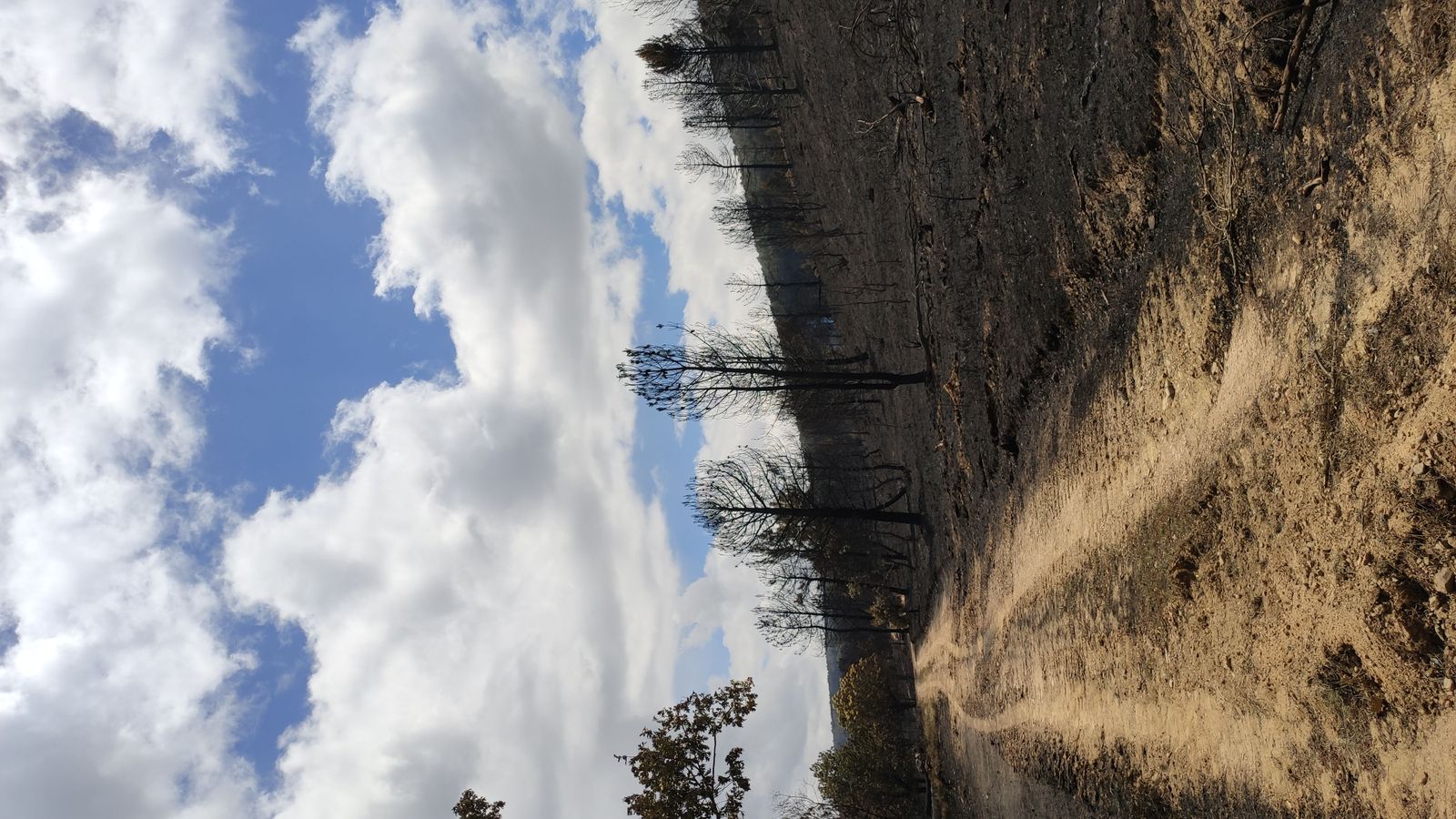 las-desoladoras-imagenes-de-la-sierra-de-la-culebra-tras-el-incendio-22