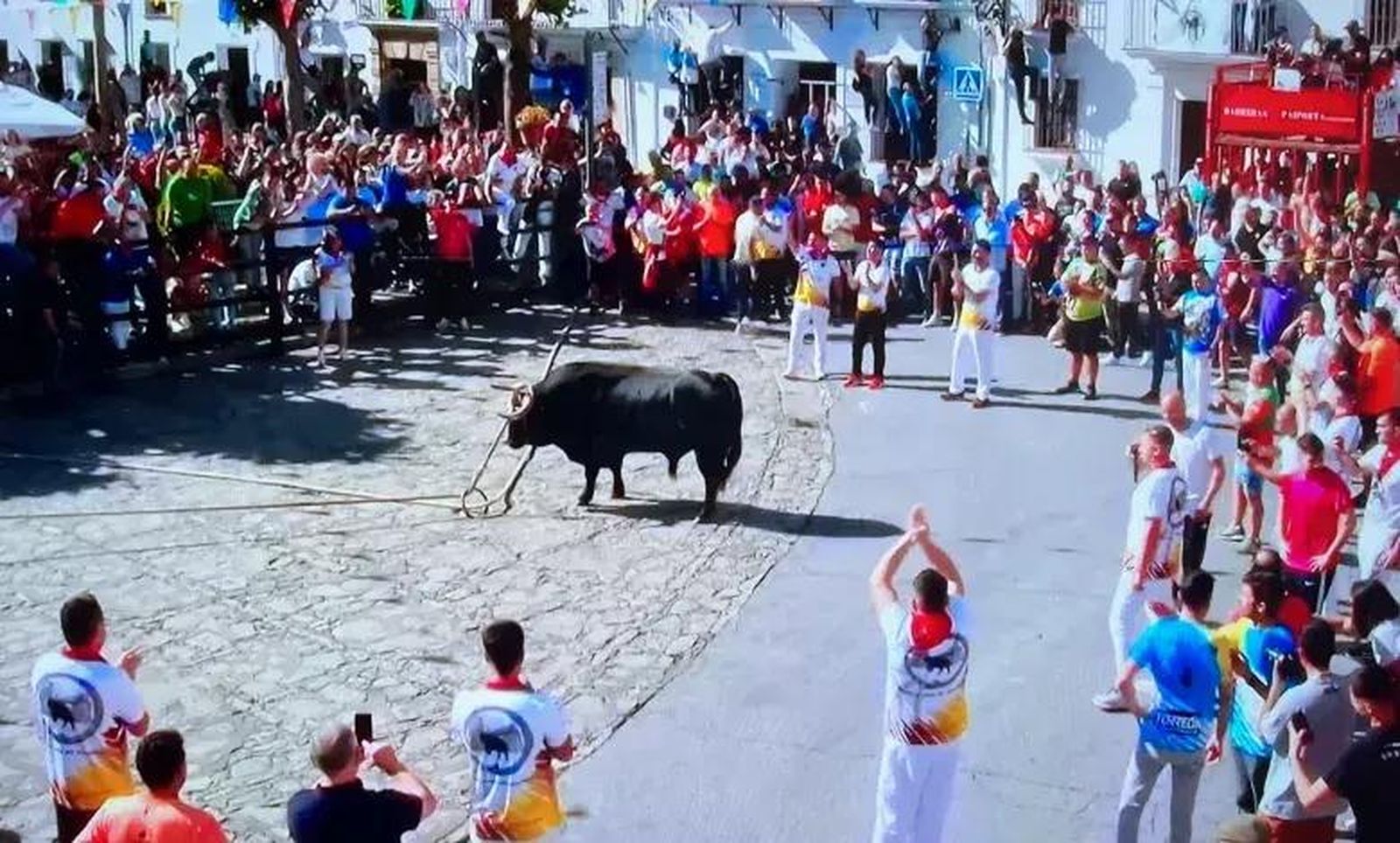 Imagen: Peña Lunes Del Toro De Cuerda Grazalema