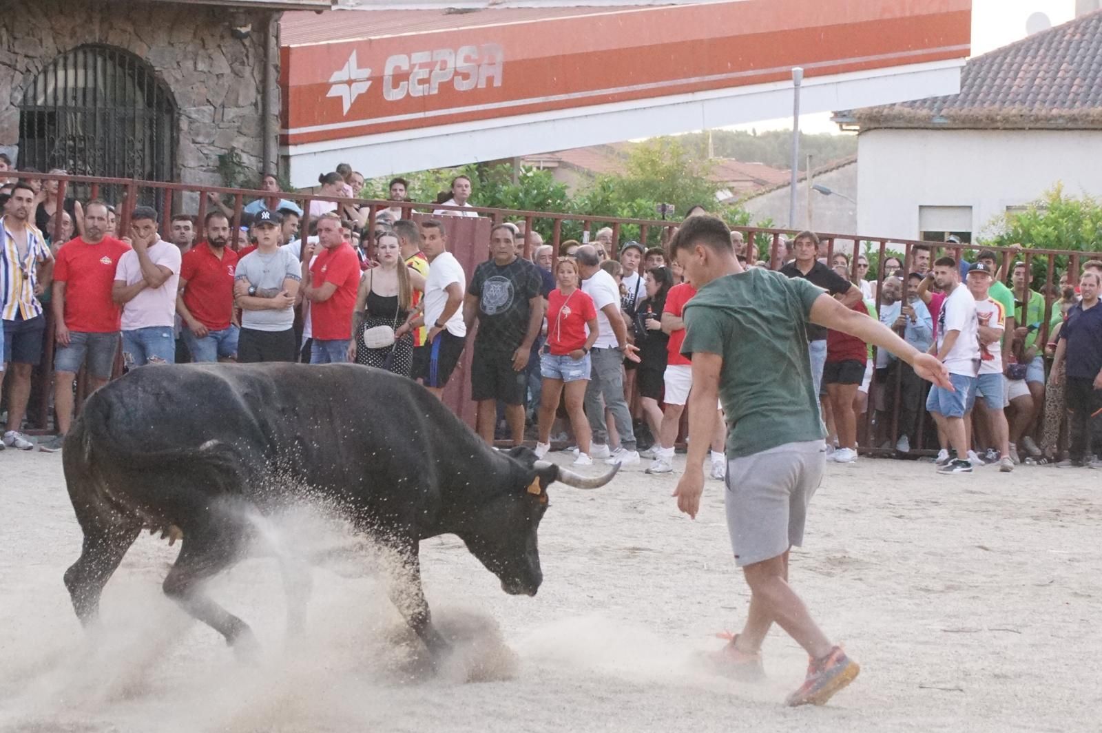 Pasión, tradición y calle: así se ha vivido en Ledesma el II Toro de Cajón