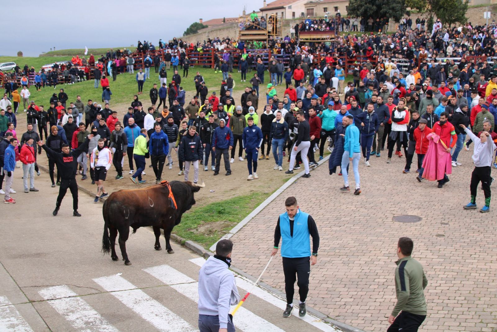 whatsapp-image-2025-03-01-at-11-56-24-1